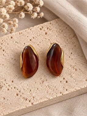 Amber Brown Resin Geometric Earrings - Stainless Steel